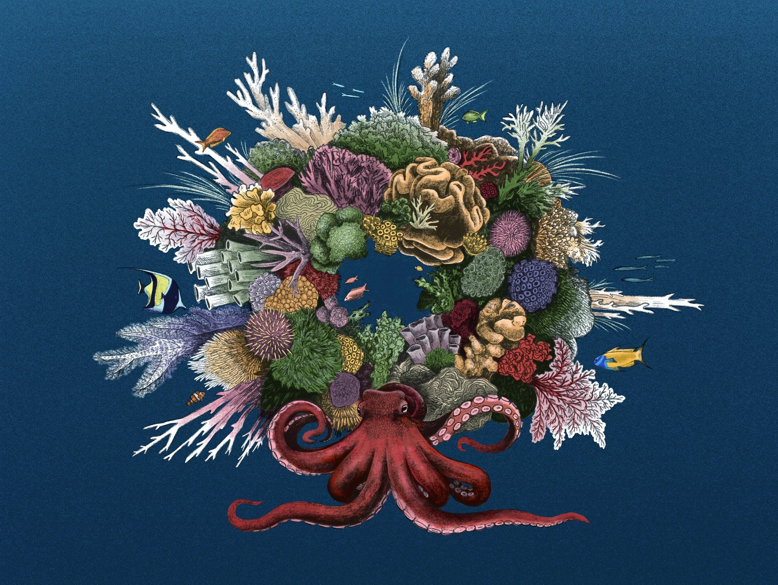 Coral Wreath