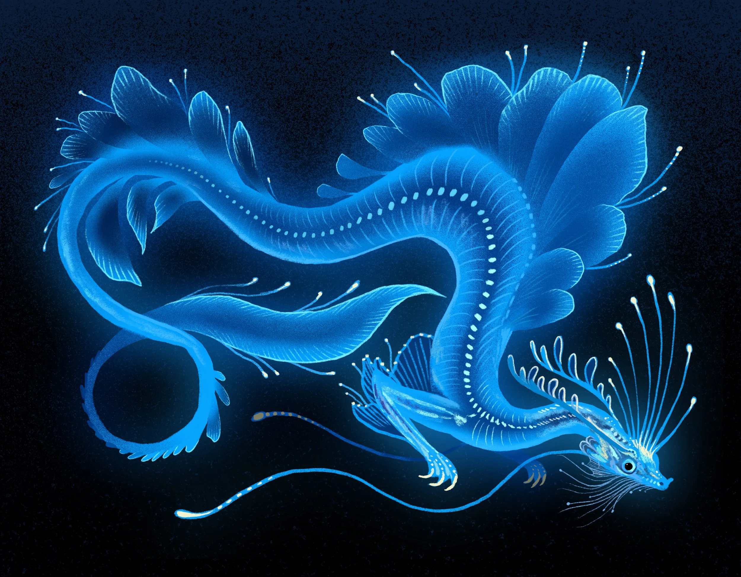 IMG_6944.JPG