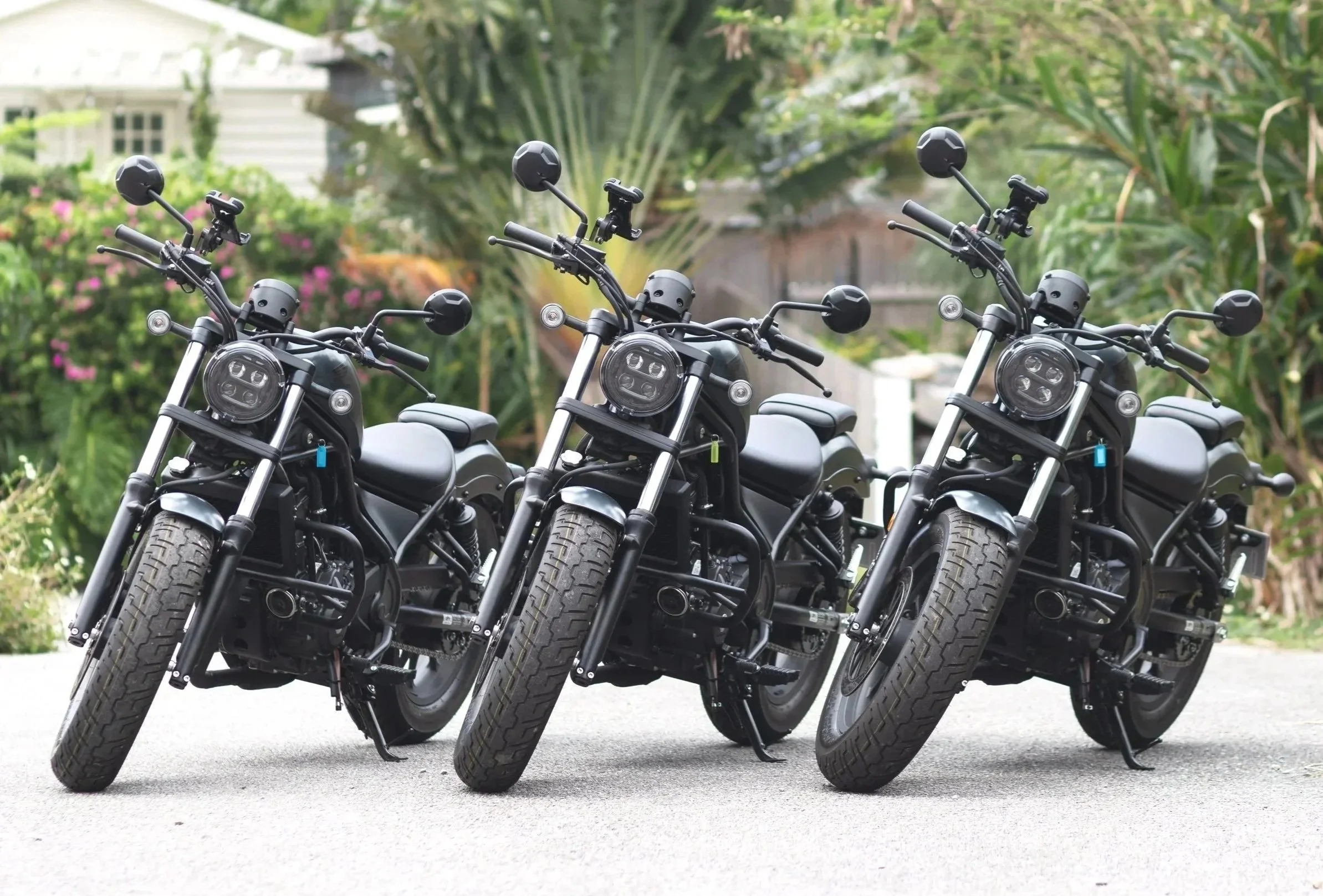 Multiple black electric motorcycles parked outdoors with green trees and a house in the background.