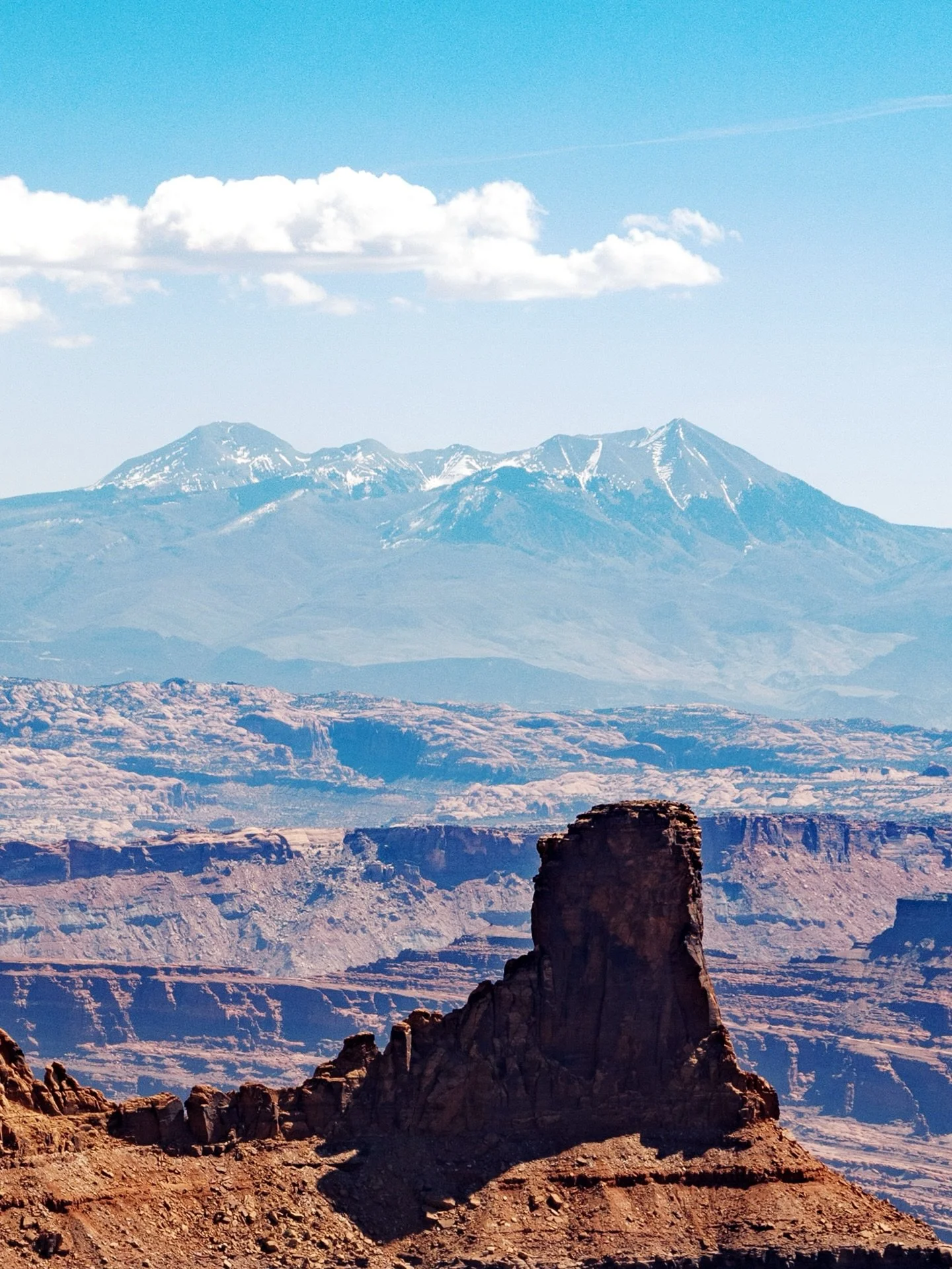 road dogs chasing the moon
