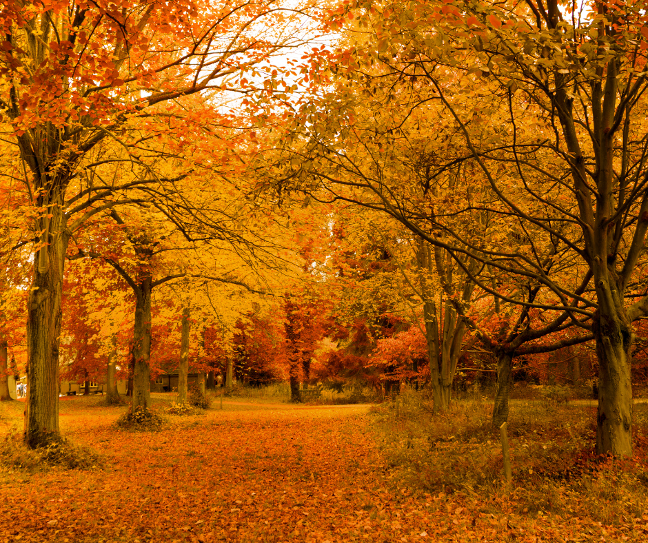 Pursuing Sustainable Contentment