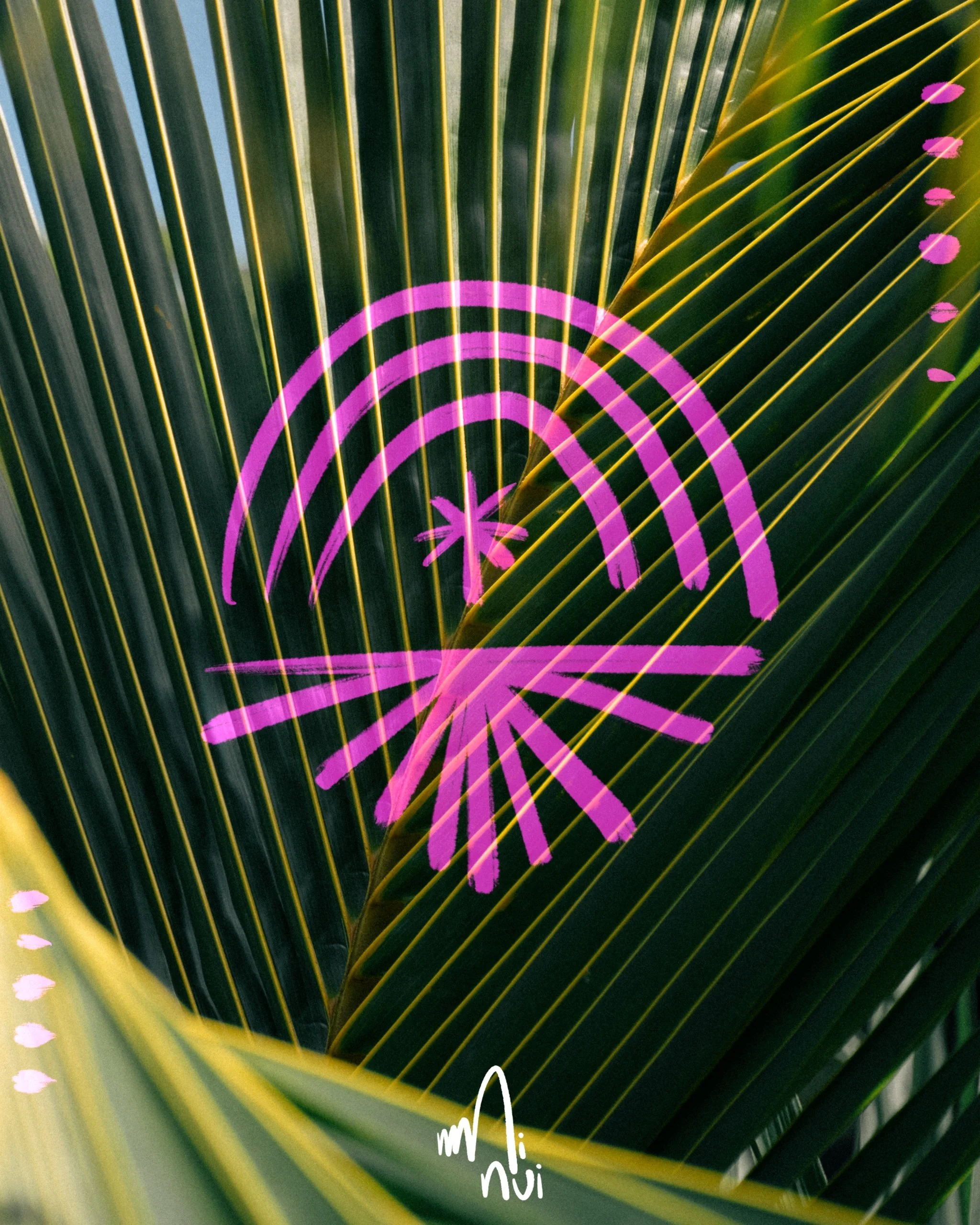 SUN_BIRD.jpg