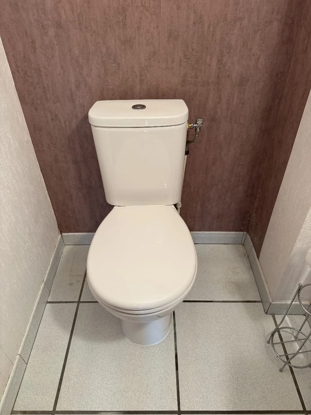 Pose d'un nouveau WC due à l'ancienne faïence  poreuse