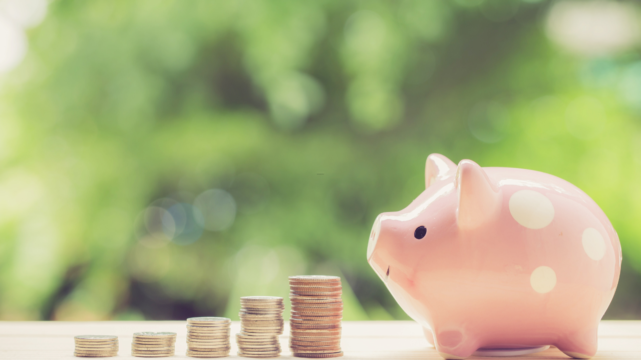 How Much You Could Save Growing Your Own Food