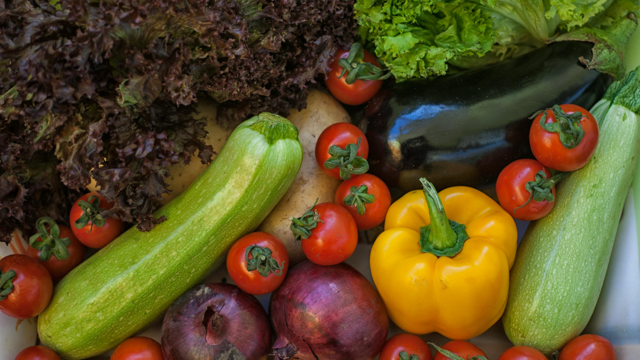What It Really Costs to Start Growing Your Own