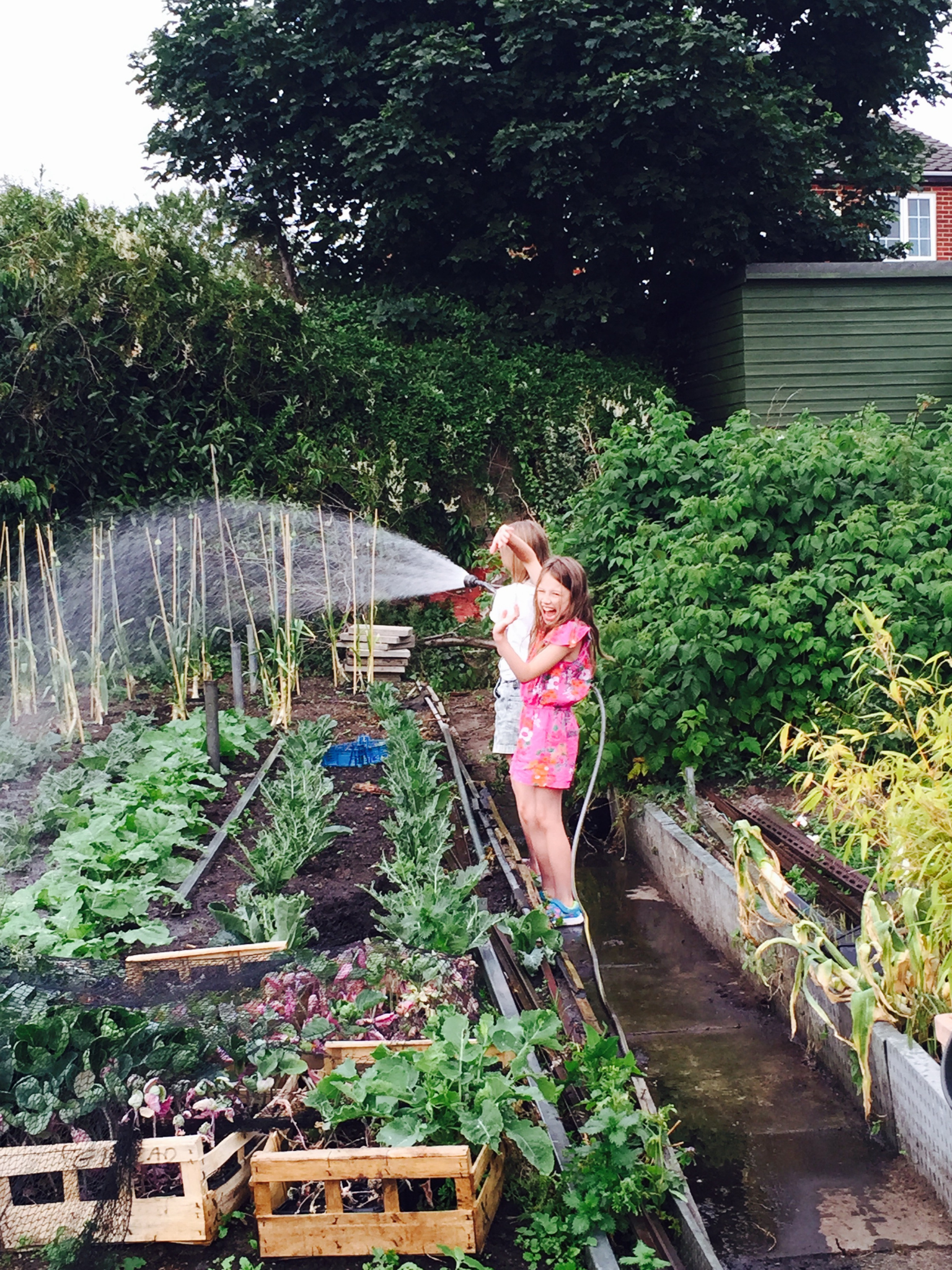 The Benefits of Growing Your Own