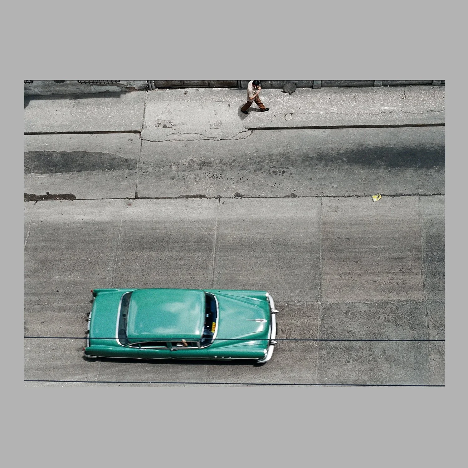 ML_Tropicalism+5A.webp