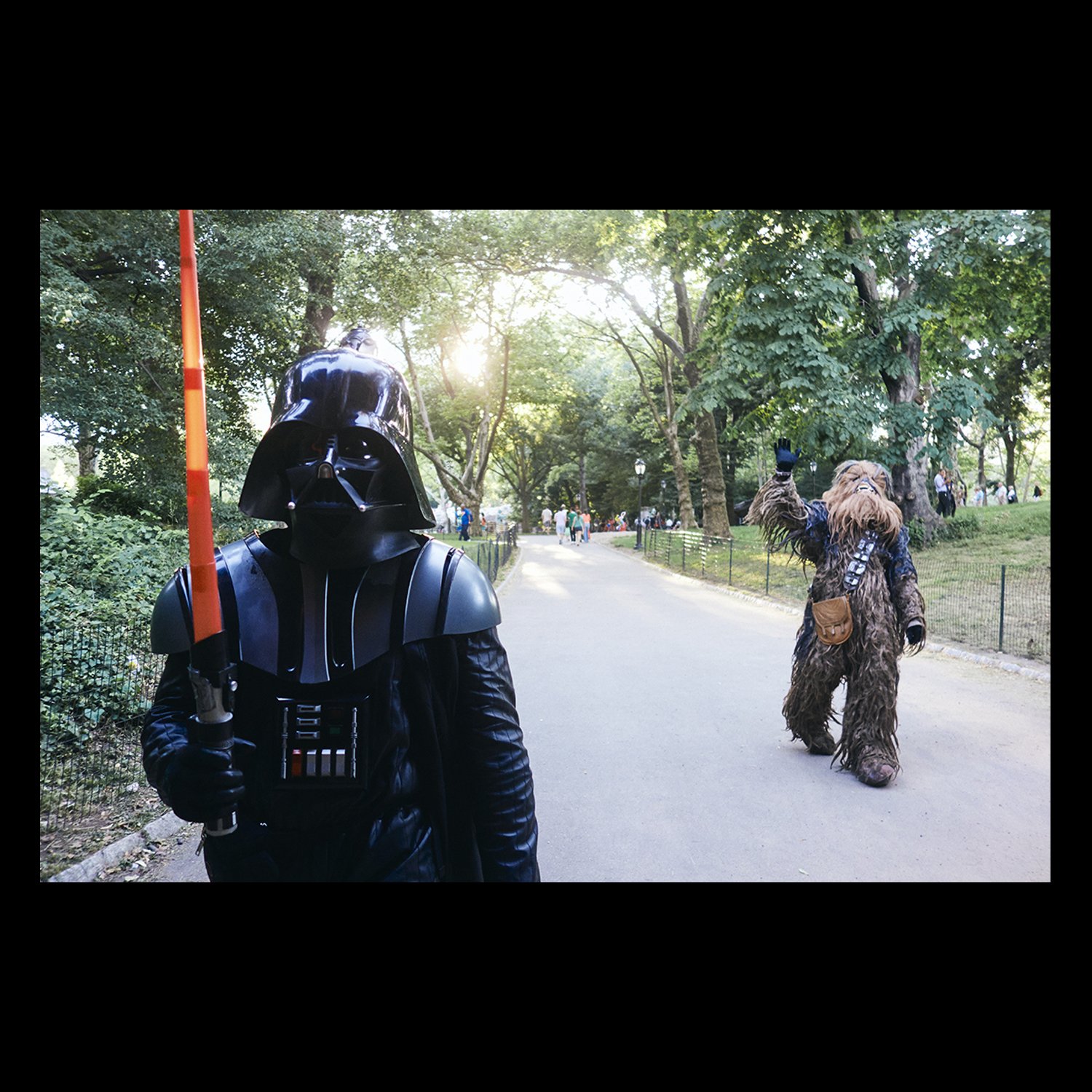 ML_American D_DARTH in Central Park 01B.jpg