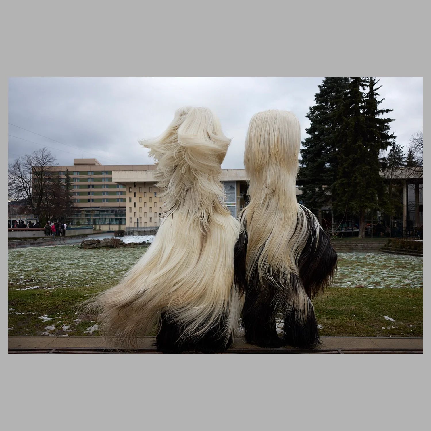 ML_MASKS 04A.webp