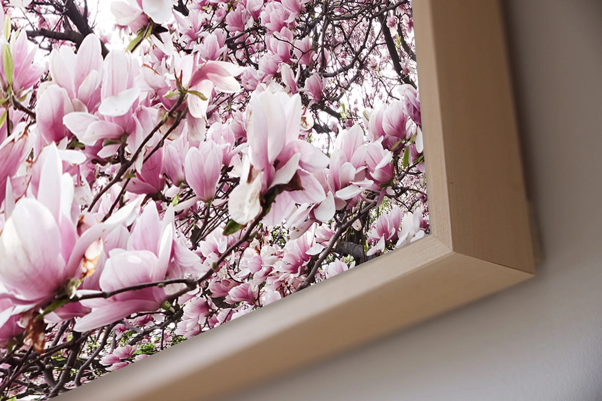 ML_Shokubutsu_Encadrement_Detail 04.jpg