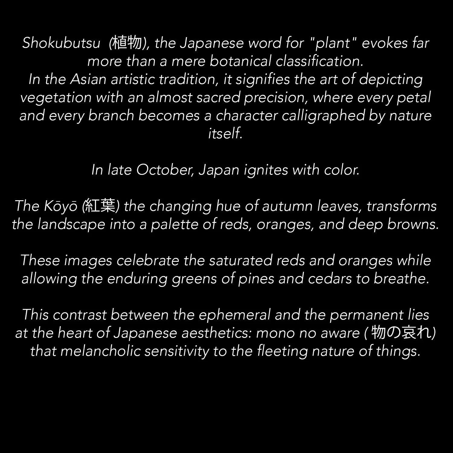 EN TEXT_SHOKUBUTSU.jpg
