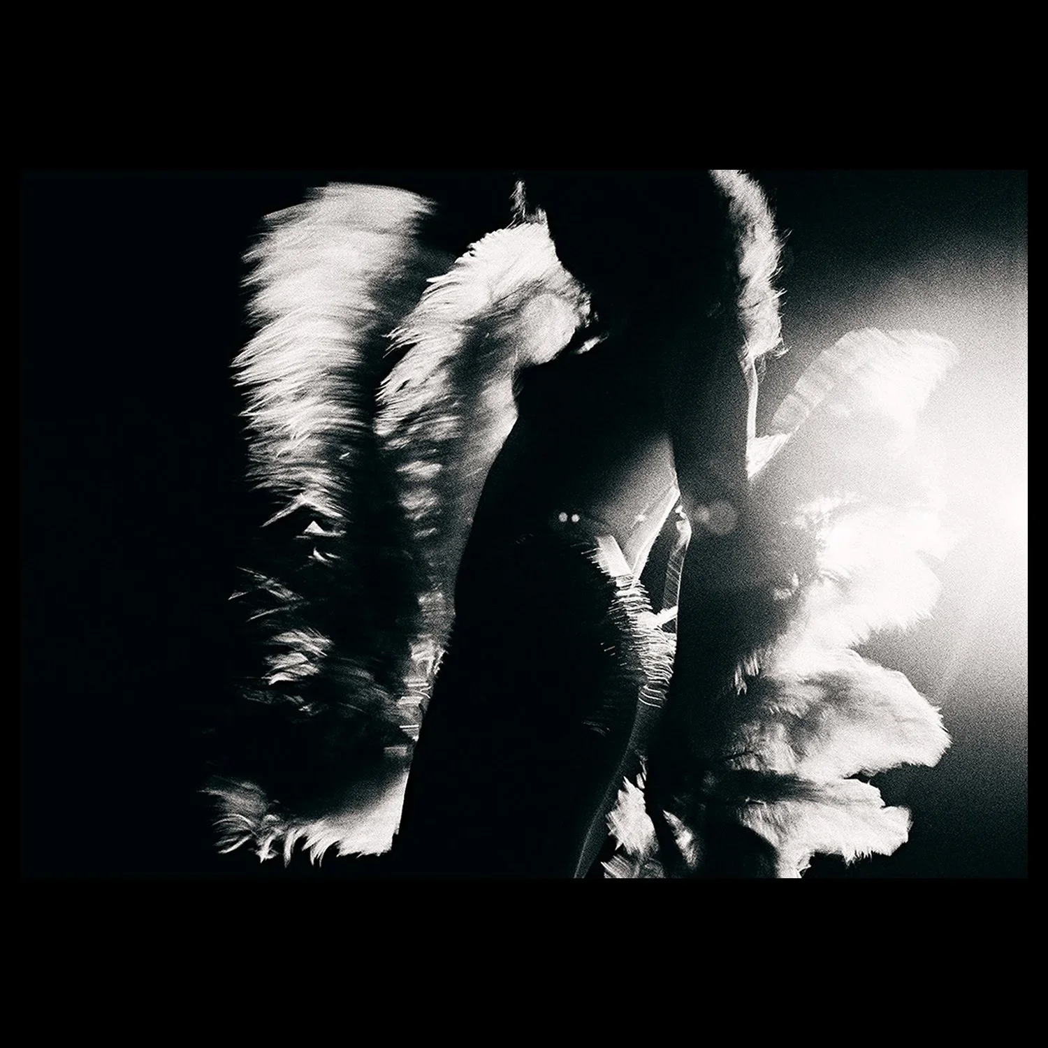 ML_PULP-Light+and+Feathers+2B.jpg.webp