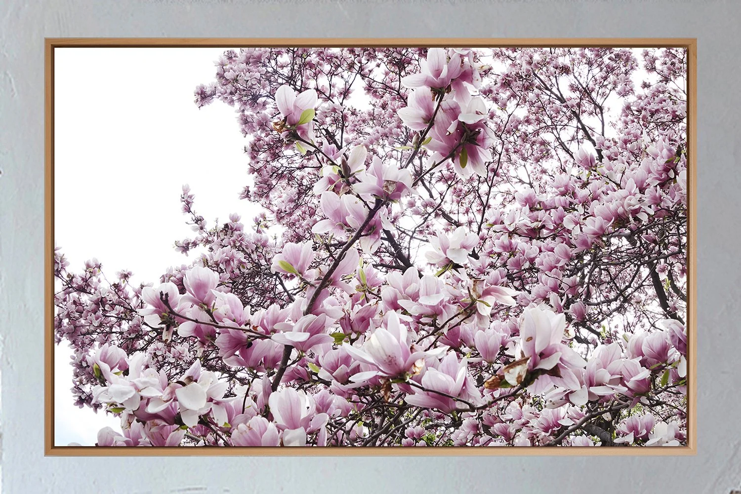 ML_Shokubutsu_Encadrement_Brooklyn 4A.jpg