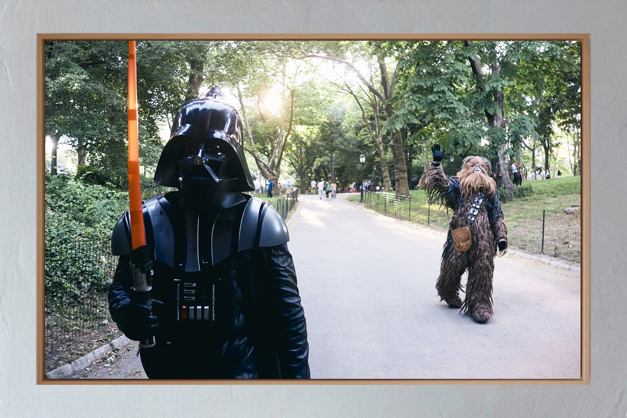 ML_American Diary_Encadrement_Darth Vader_Chew+in+Central+Park+01.jpg