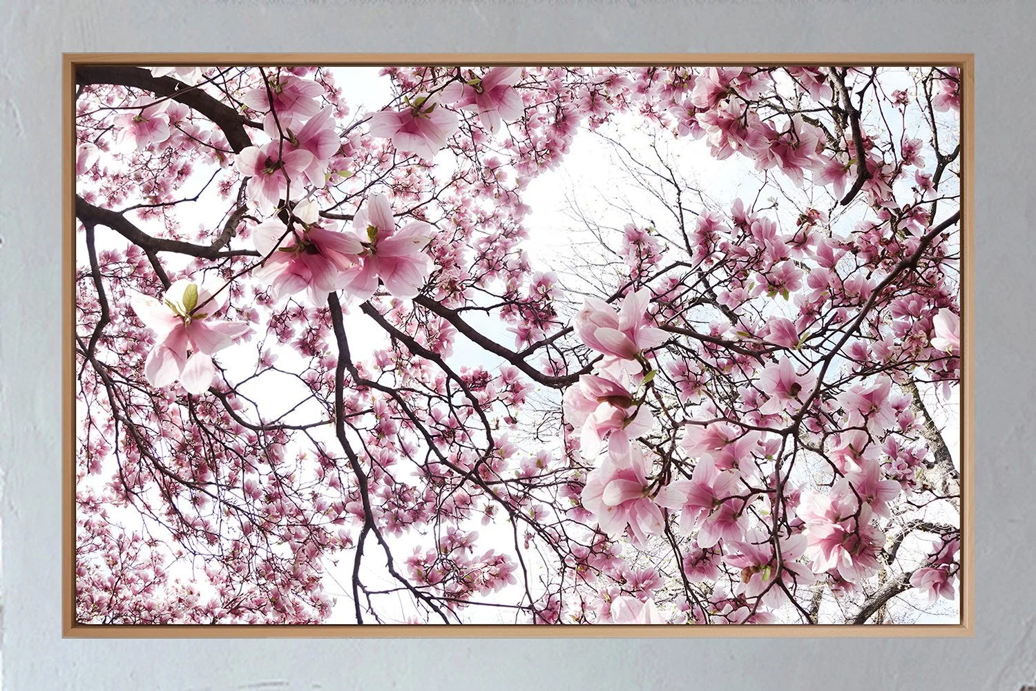ML_Shokubutsu_Encadrement_Brooklyn 2A.jpg
