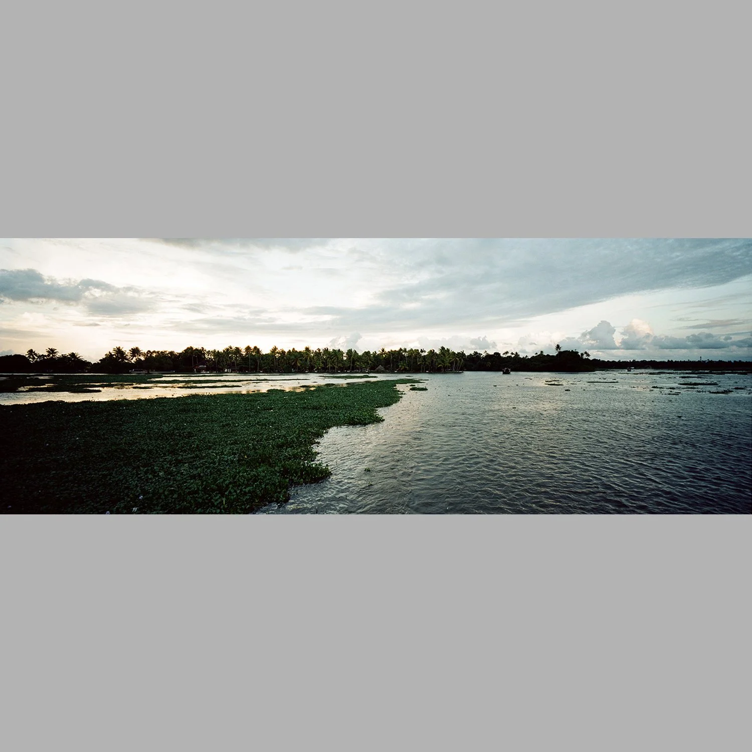 ML_Cirrus 07B.jpg