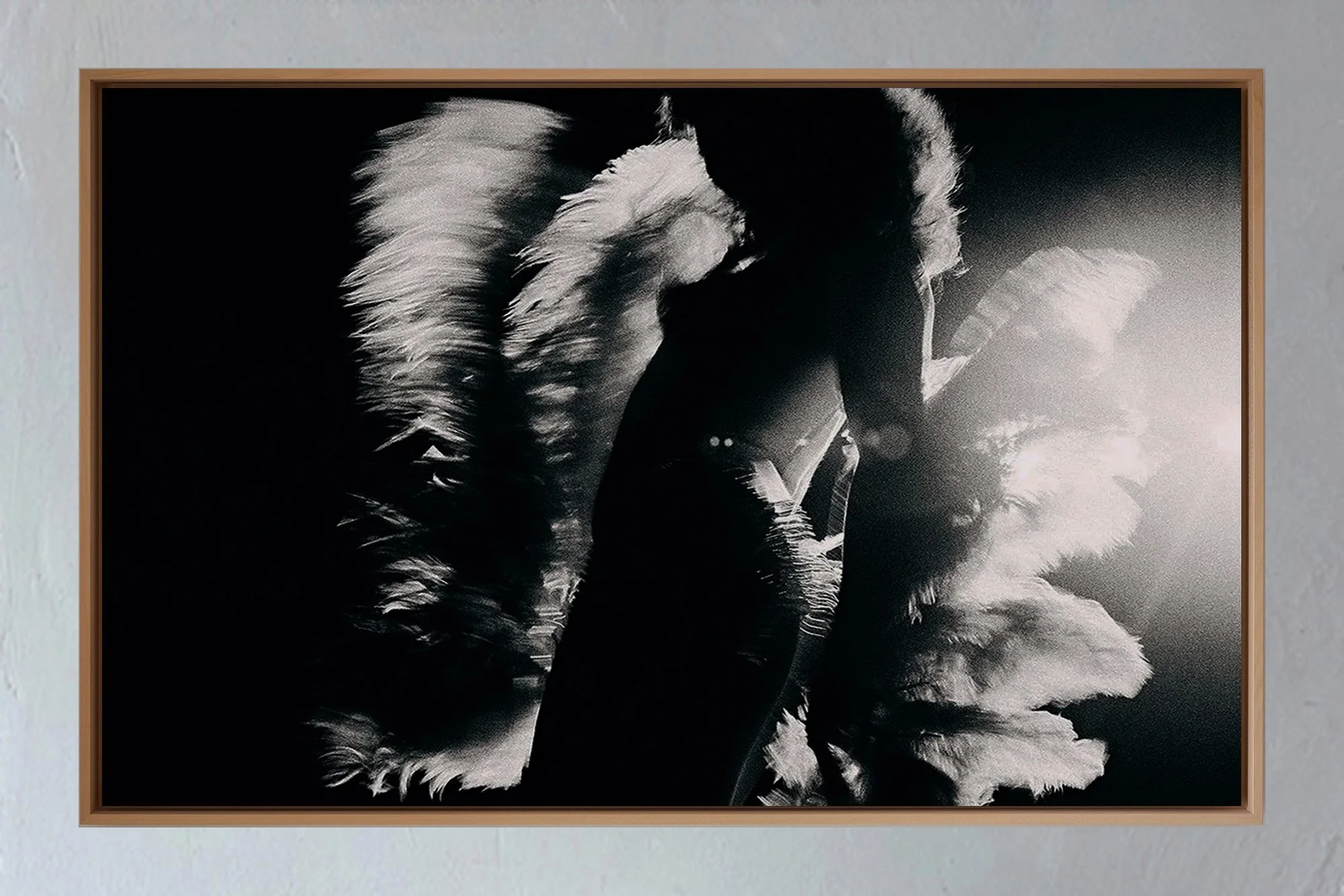 ML_Encadrement_PULP_Light and Feathers_1A.jpg