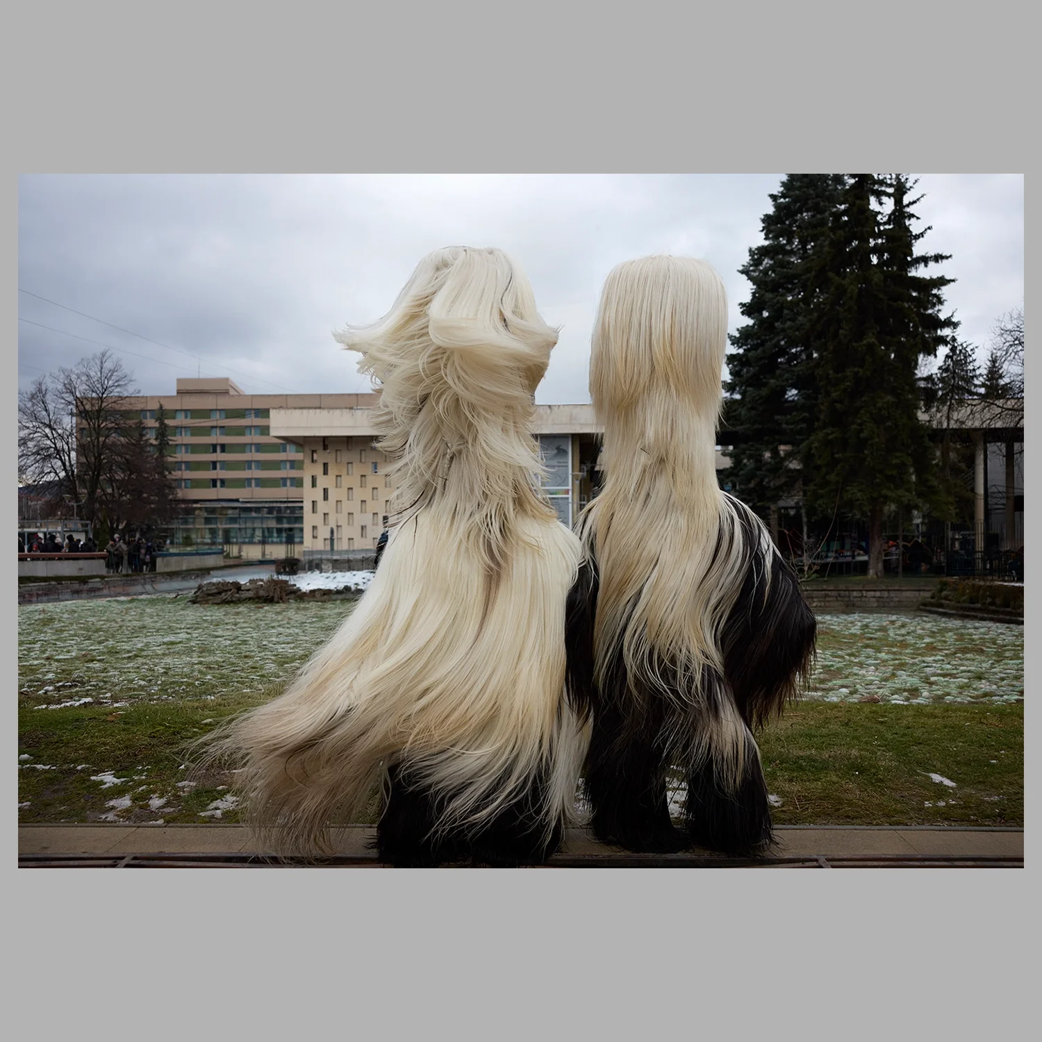 ML_MASKS 04A.webp