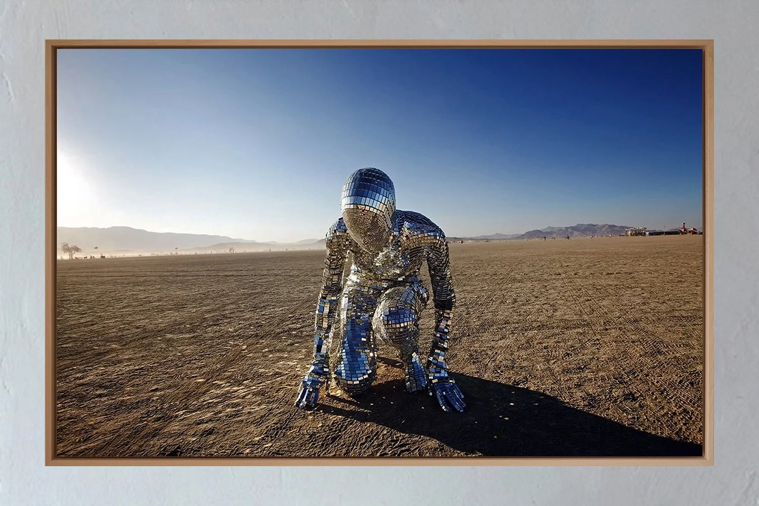 ML_Encadrement_Metamorphosis_Silver Flash_1B.jpg