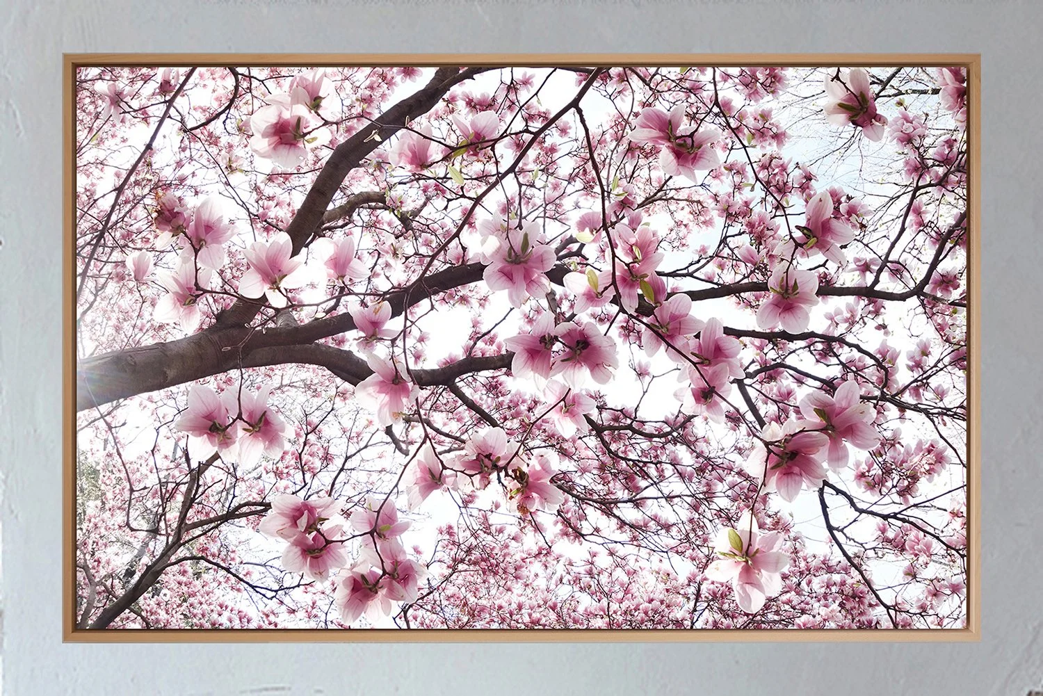 ML_Shokubutsu_Encadrement_Brooklyn 1A.jpg