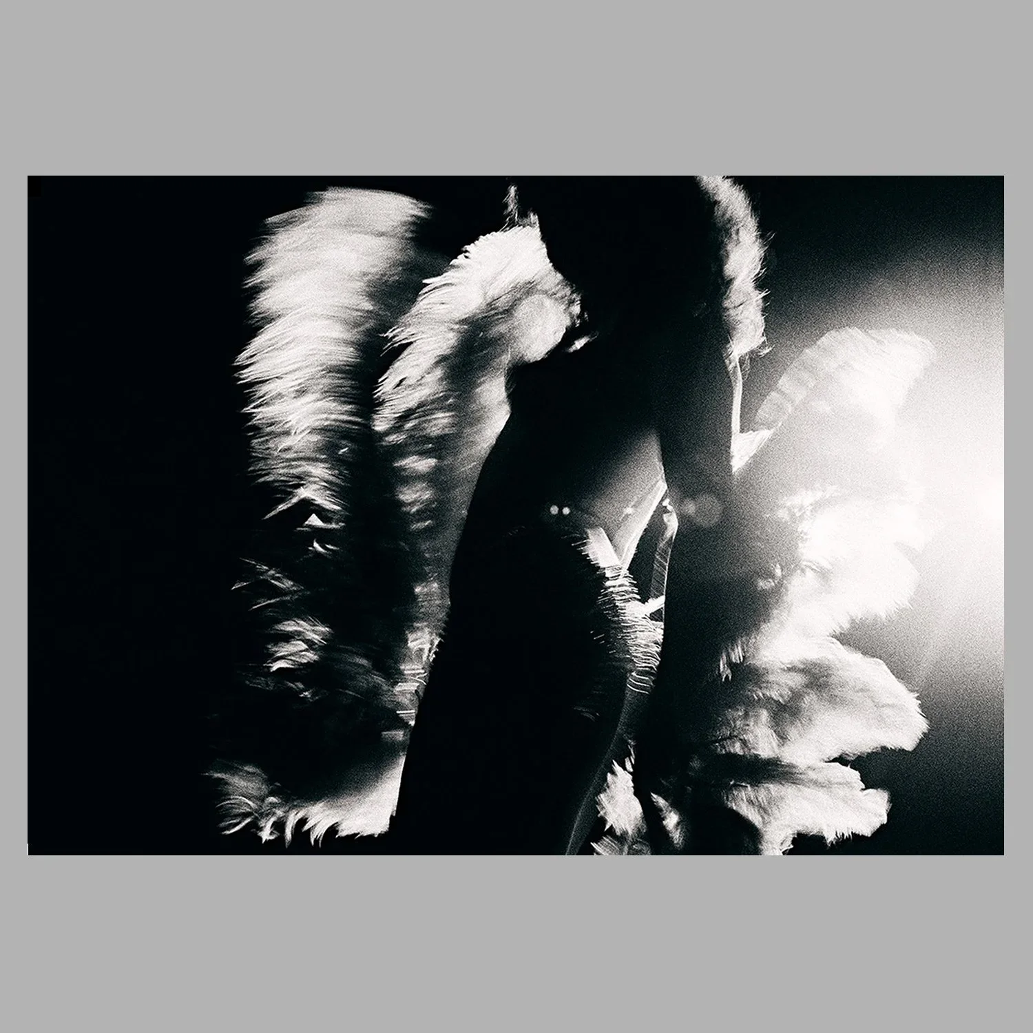 PULP ° Light and Feathers