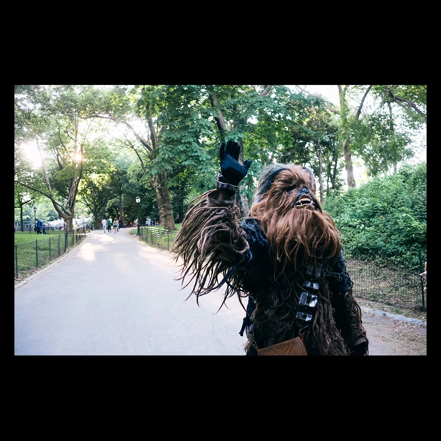 ML_American D_Chew in Central Park 01A.jpg