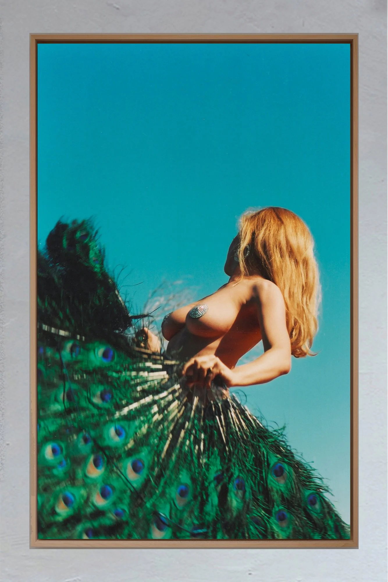 American Diary_Encadrement_Celestial Peacock 1A.jpg