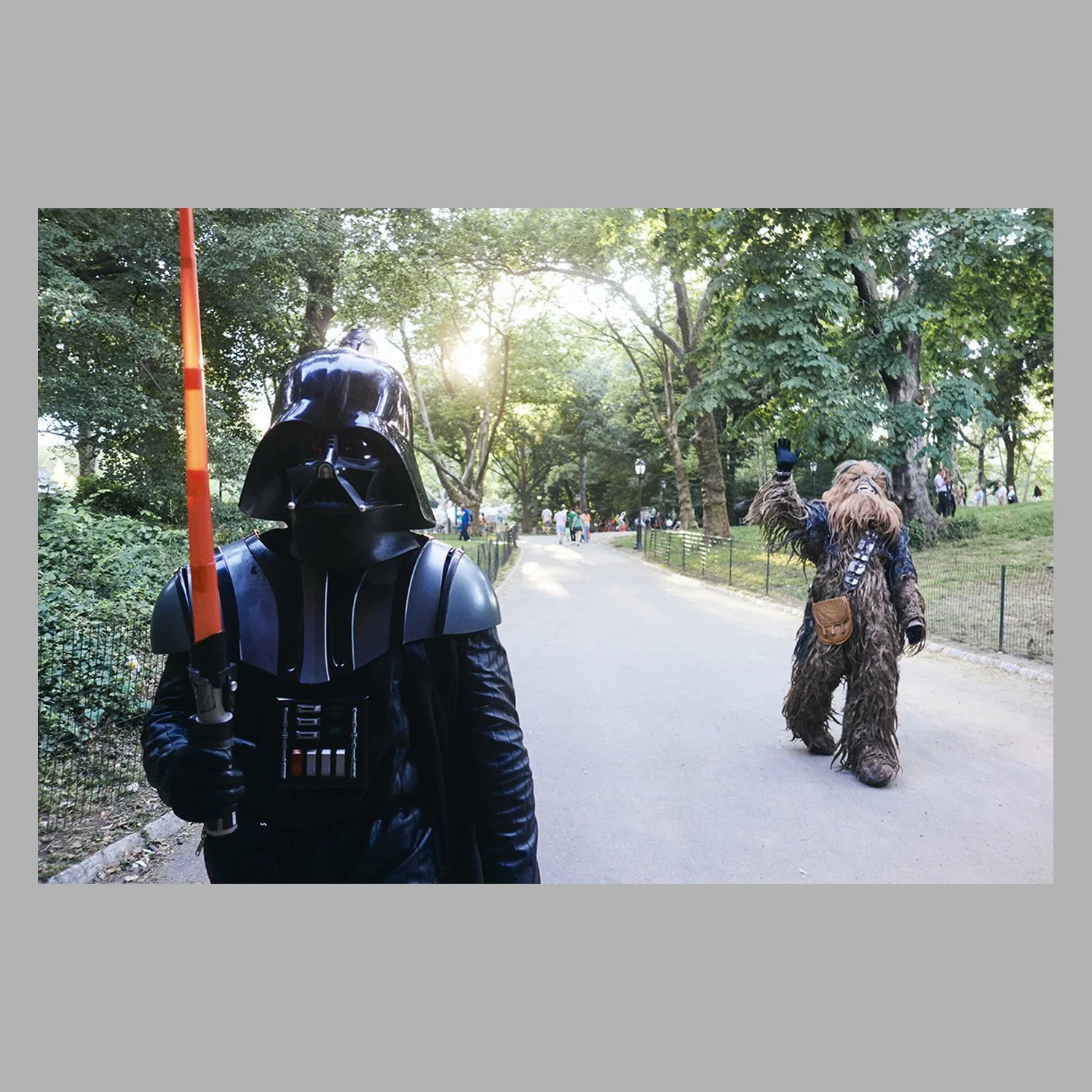 Into the Wild ° Darth Vader & Chewbacca strollin' in Central Park