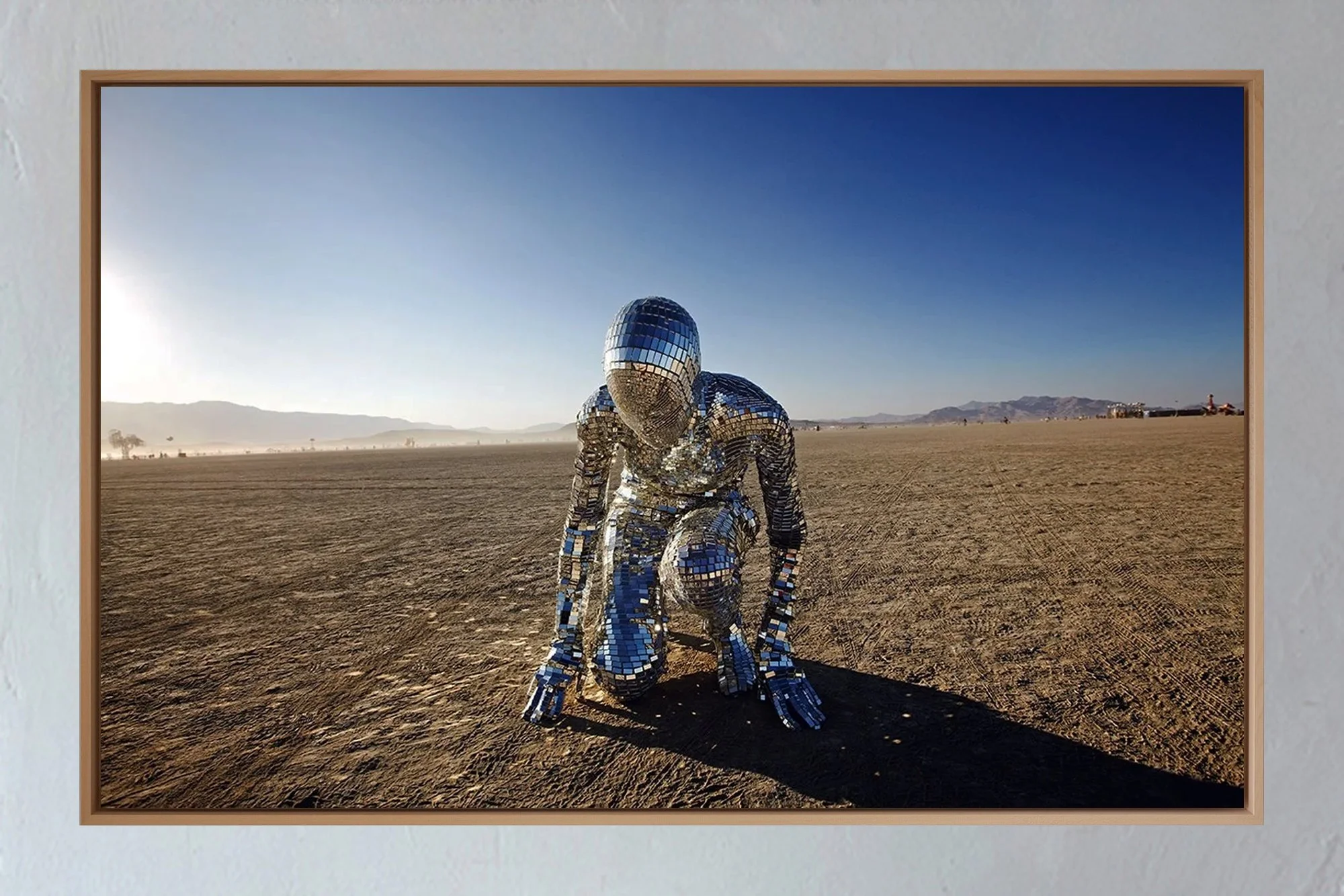 ML_Encadrement_Metamorphosis_Silver Flash_1B.jpg
