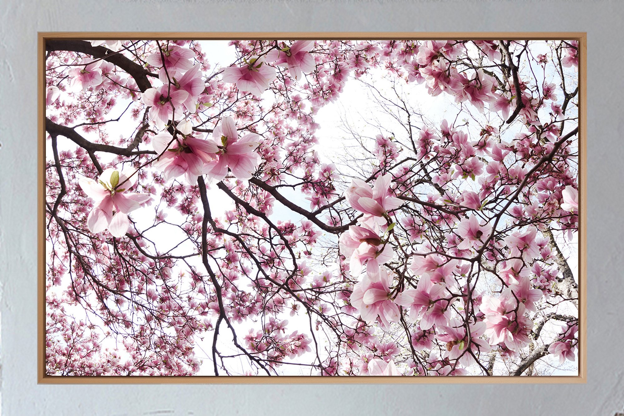 ML_Shokubutsu_Encadrement_Brooklyn 2A.jpg