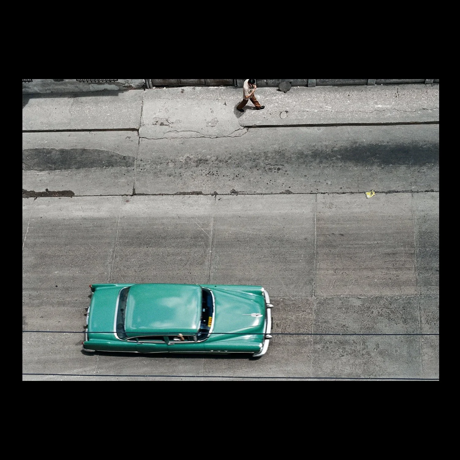 ML_Tropicalism+5B.webp