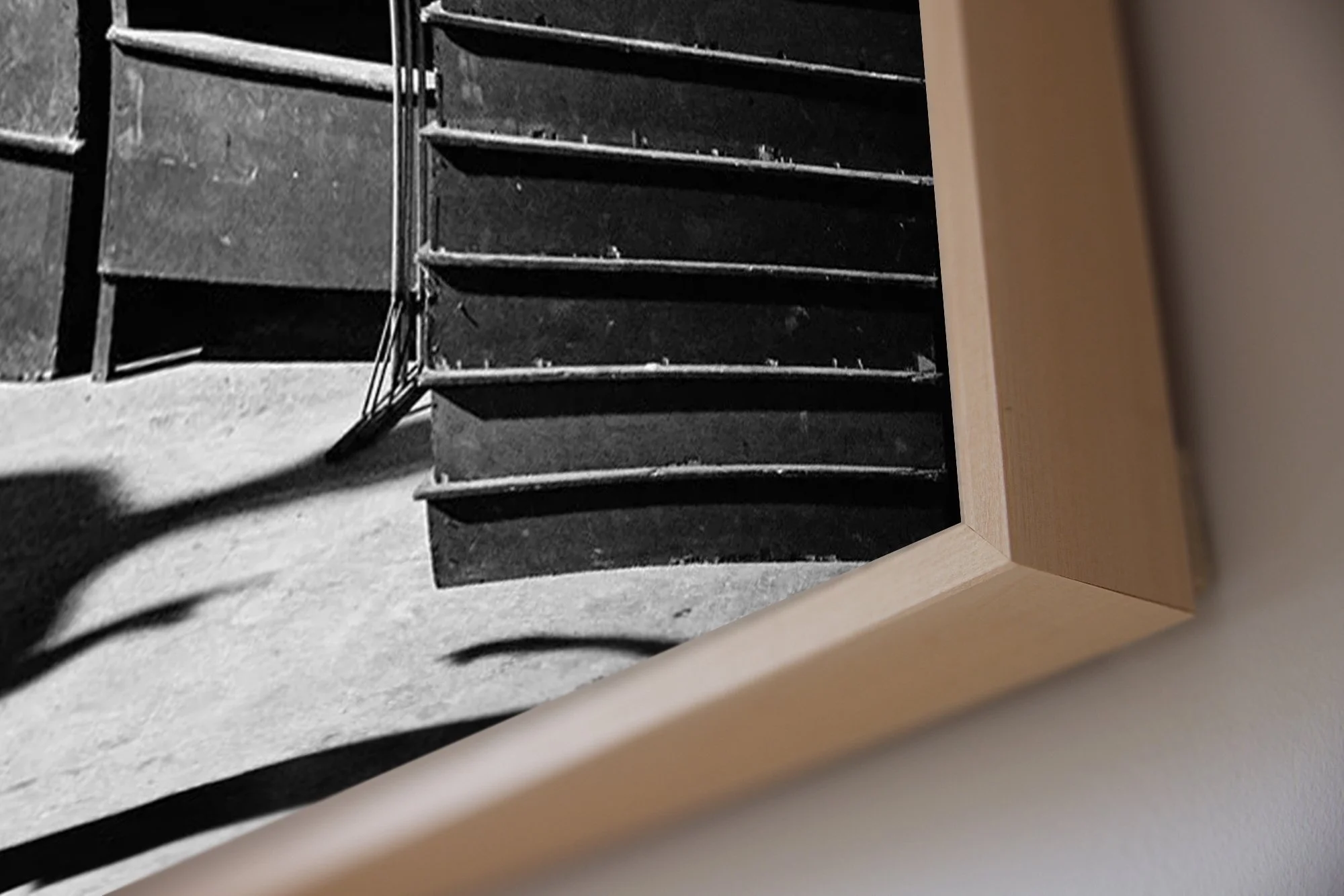 ML_Oiseau+Ombre_Encadrement_Detail37.jpg