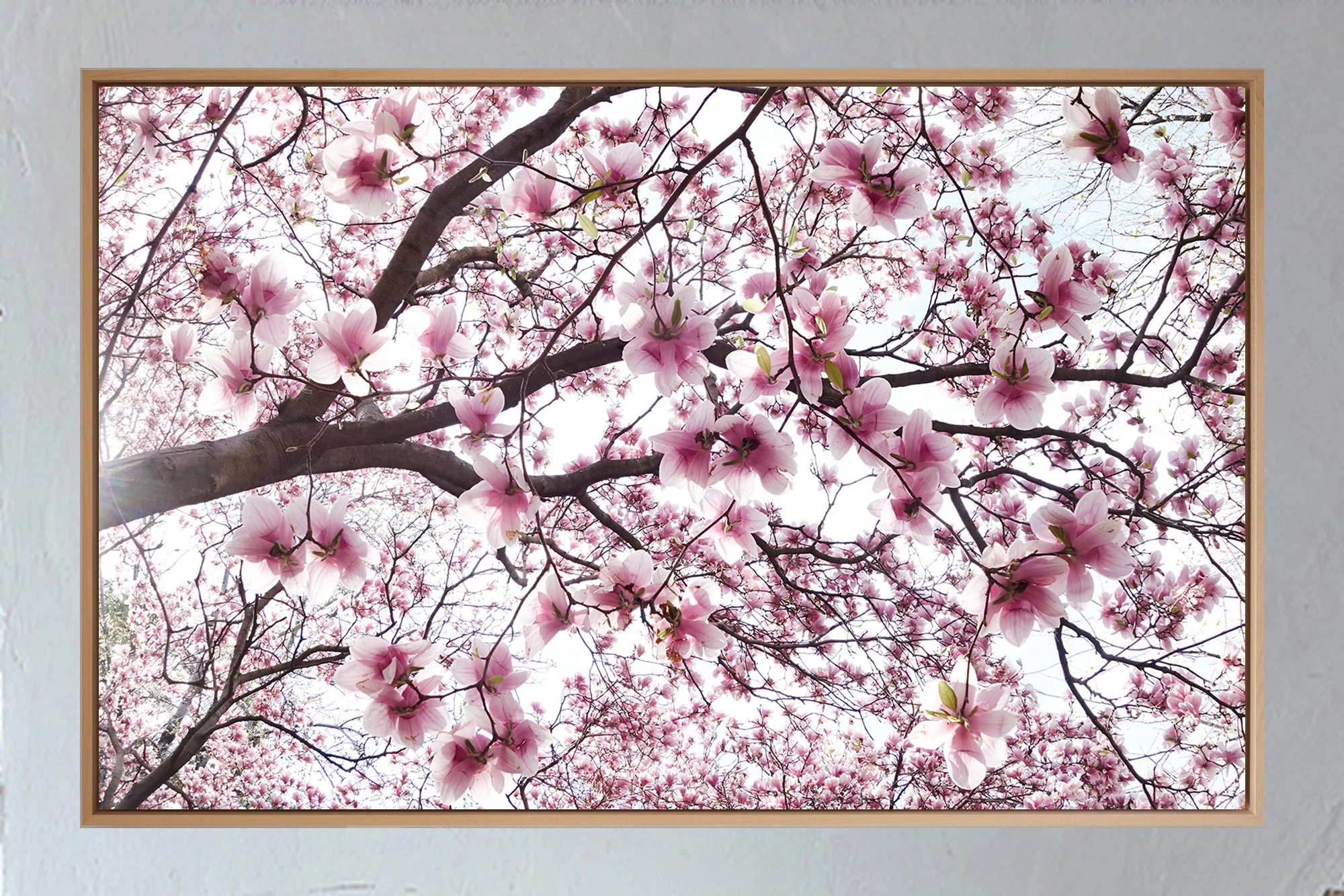 ML_Shokubutsu_Encadrement_Brooklyn 1A.jpg