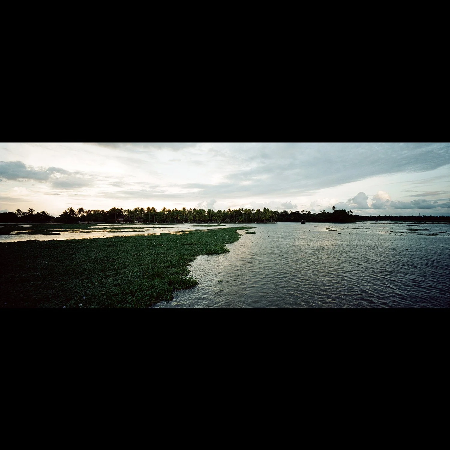 ML_Cirrus 07A.jpg