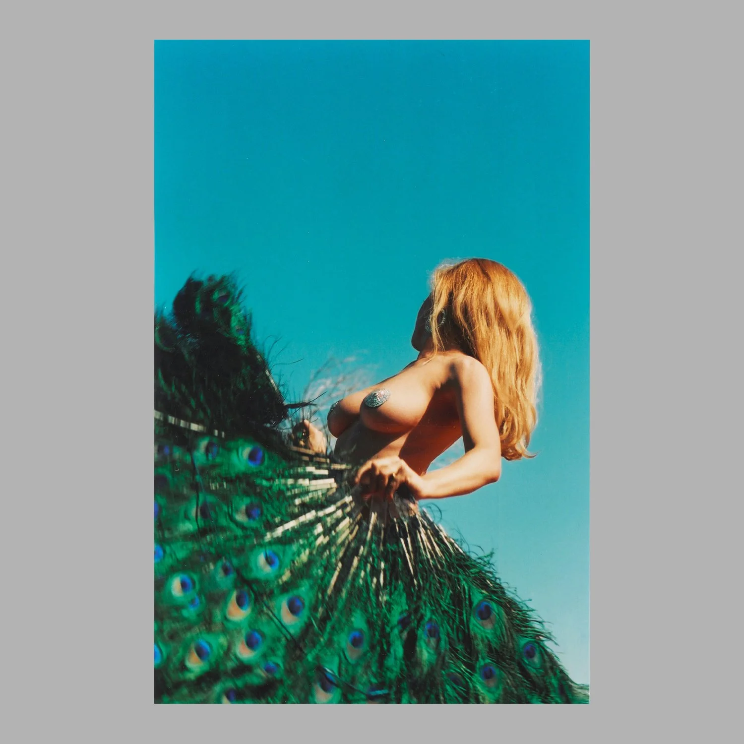 American Diary ° Celestial Peacock