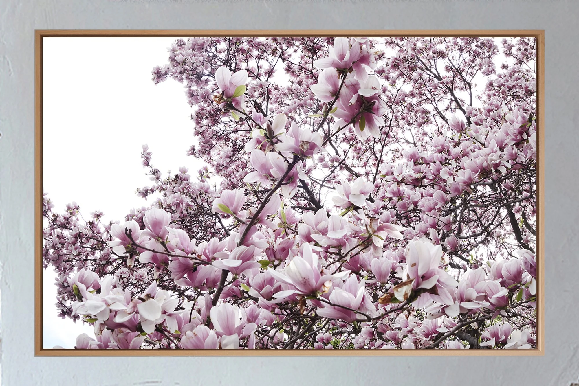 ML_Shokubutsu_Encadrement_Brooklyn 4A.jpg