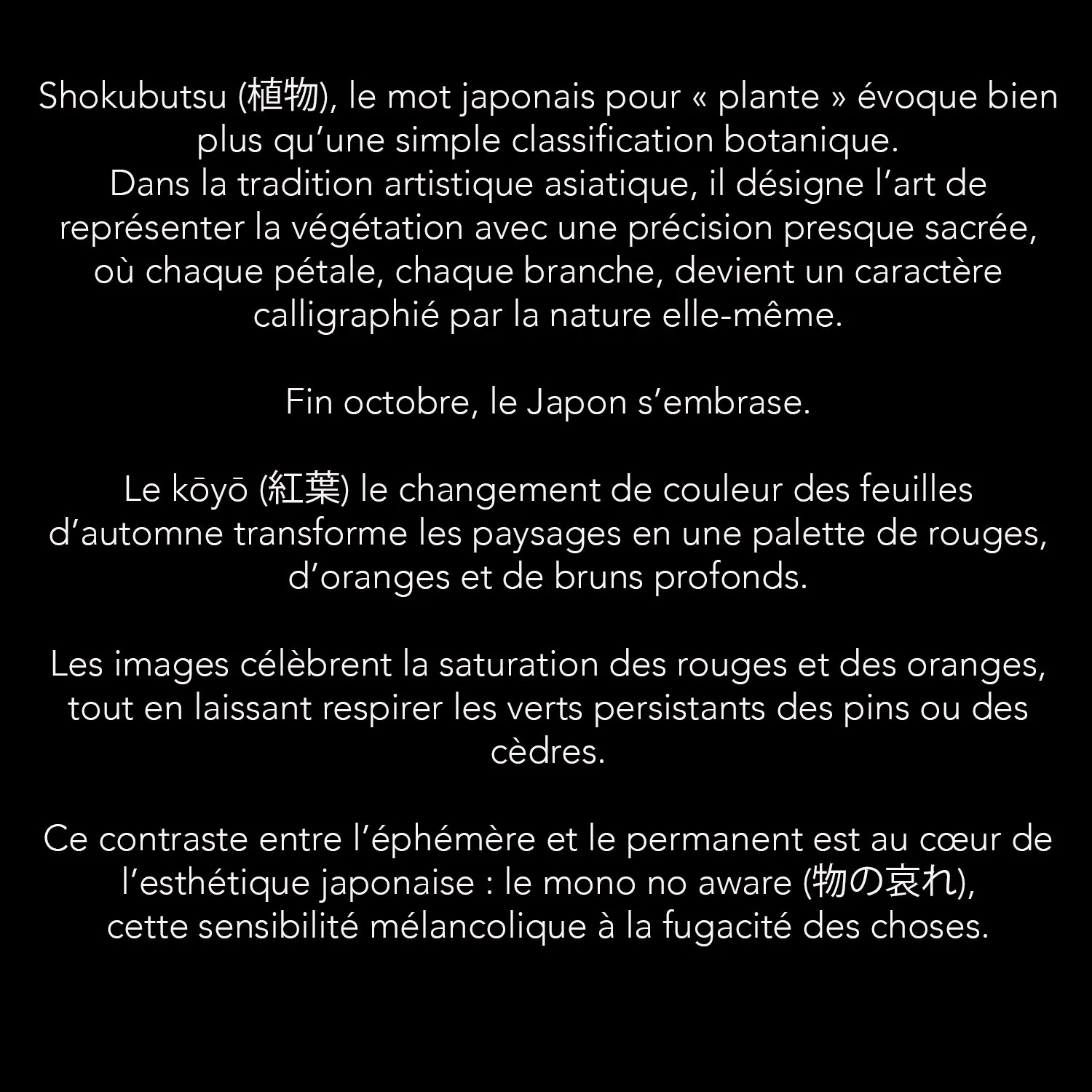 TEXT SHOKUBUTSU.jpg