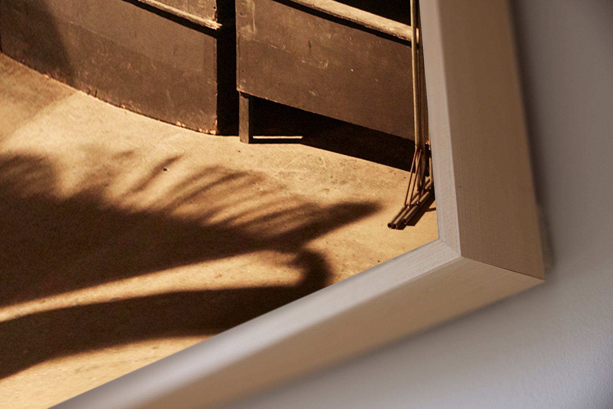 ML_Oiseau+Ombre_Encadrement_Detail38.jpg