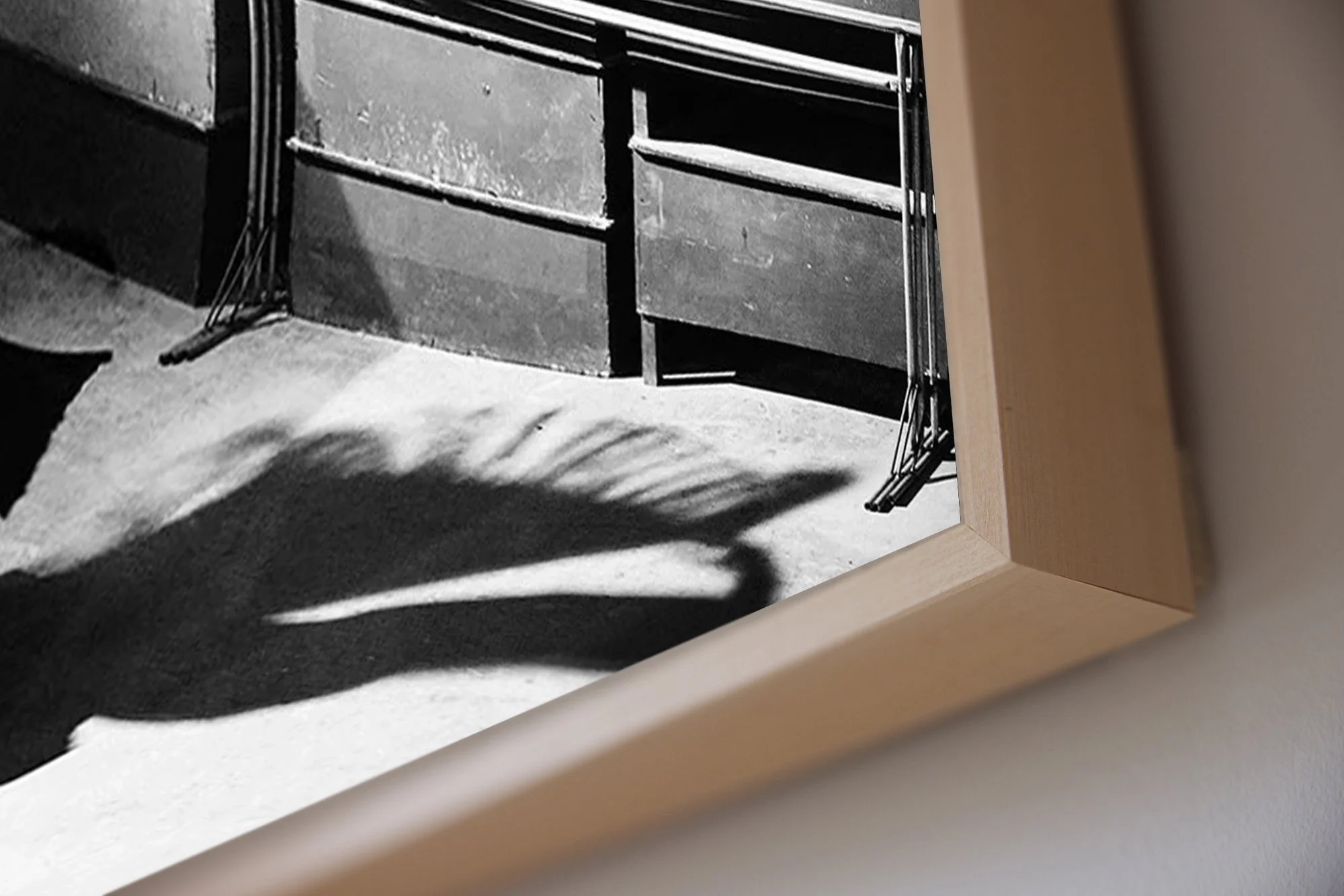 ML_Oiseau+Ombre_Detail35.jpg