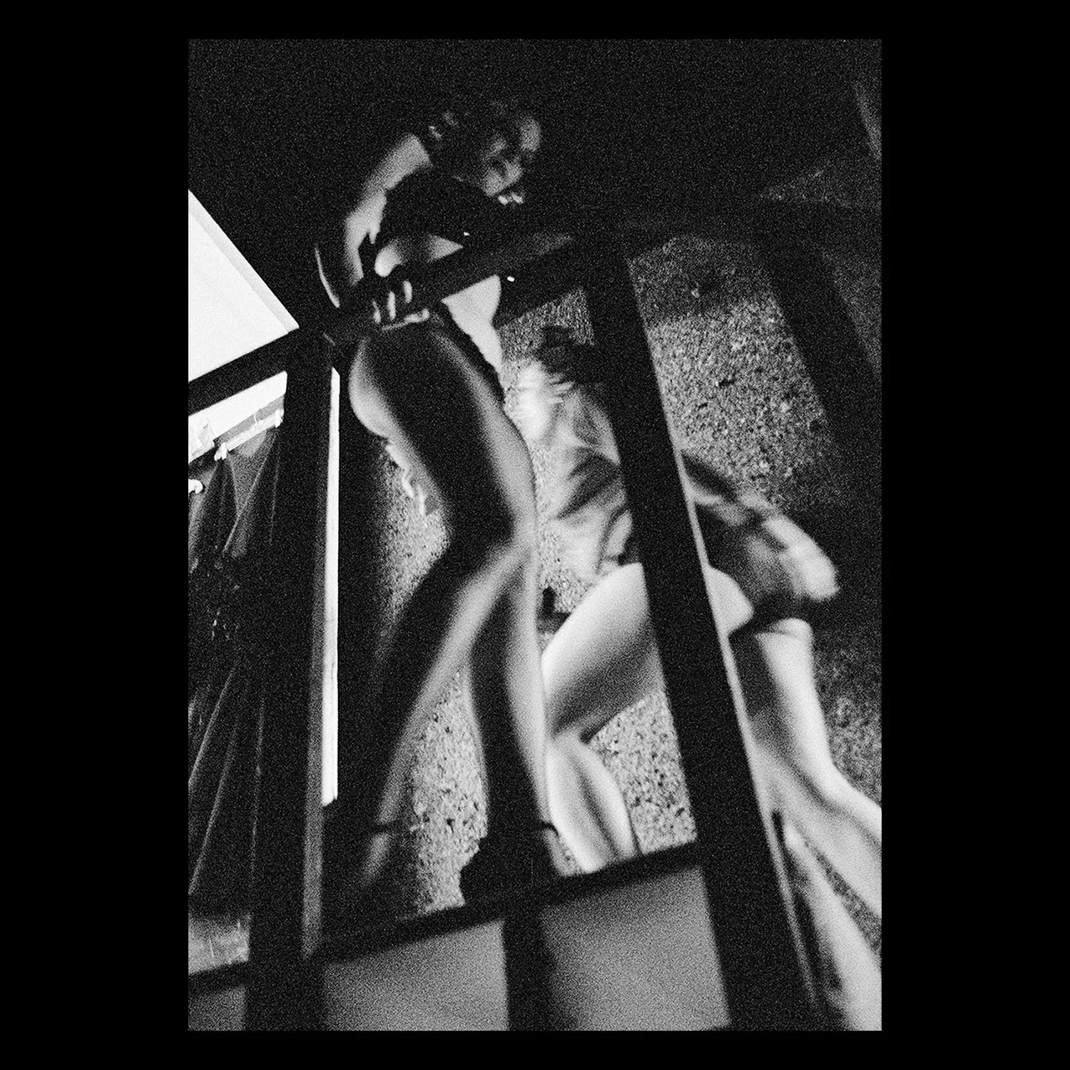 ML_PULP-Elegant+Collision+1ANB.jpg.webp