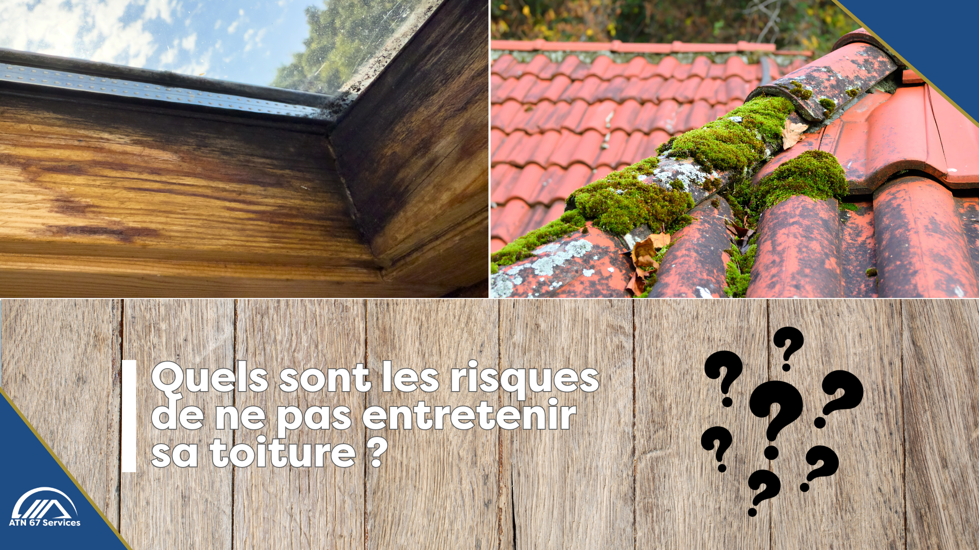 Nettoyage de toiture : protégez durablement votre habitation