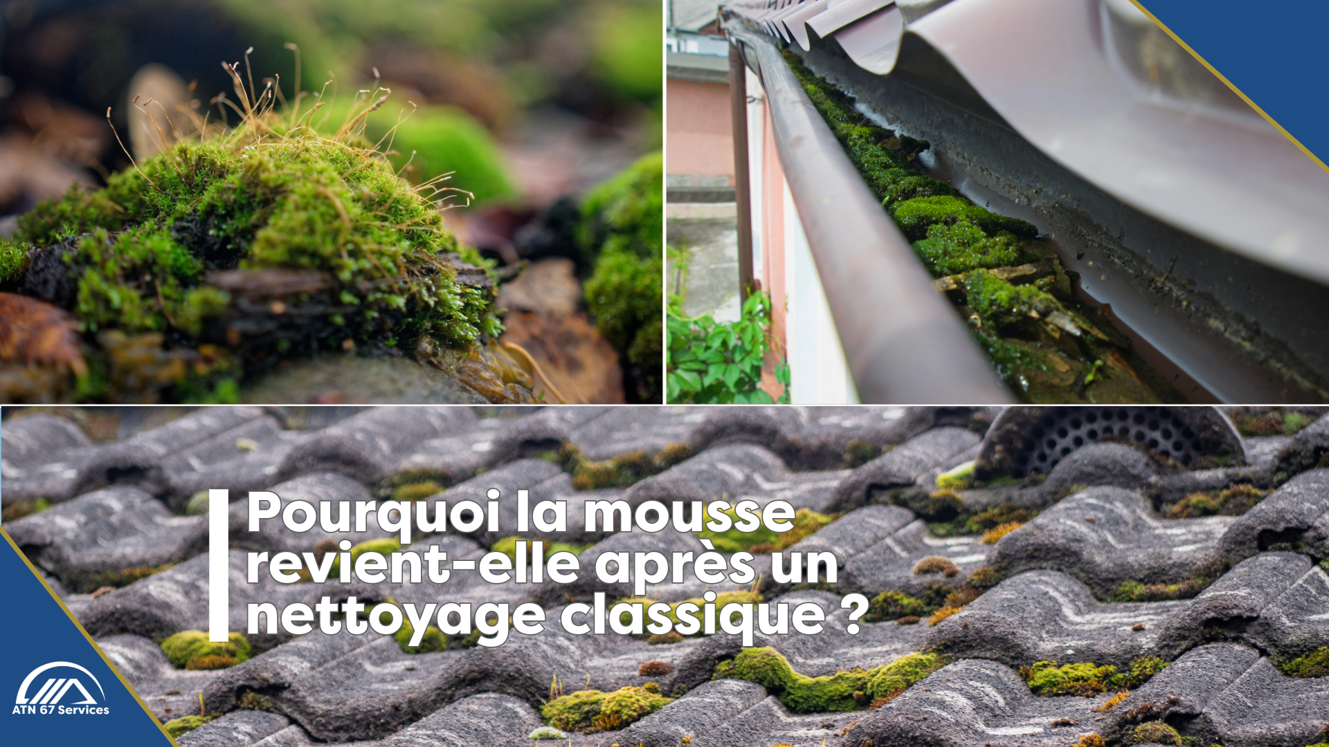 Pourquoi la mousse revient-elle après un nettoyage classique ? ATN 67 Services