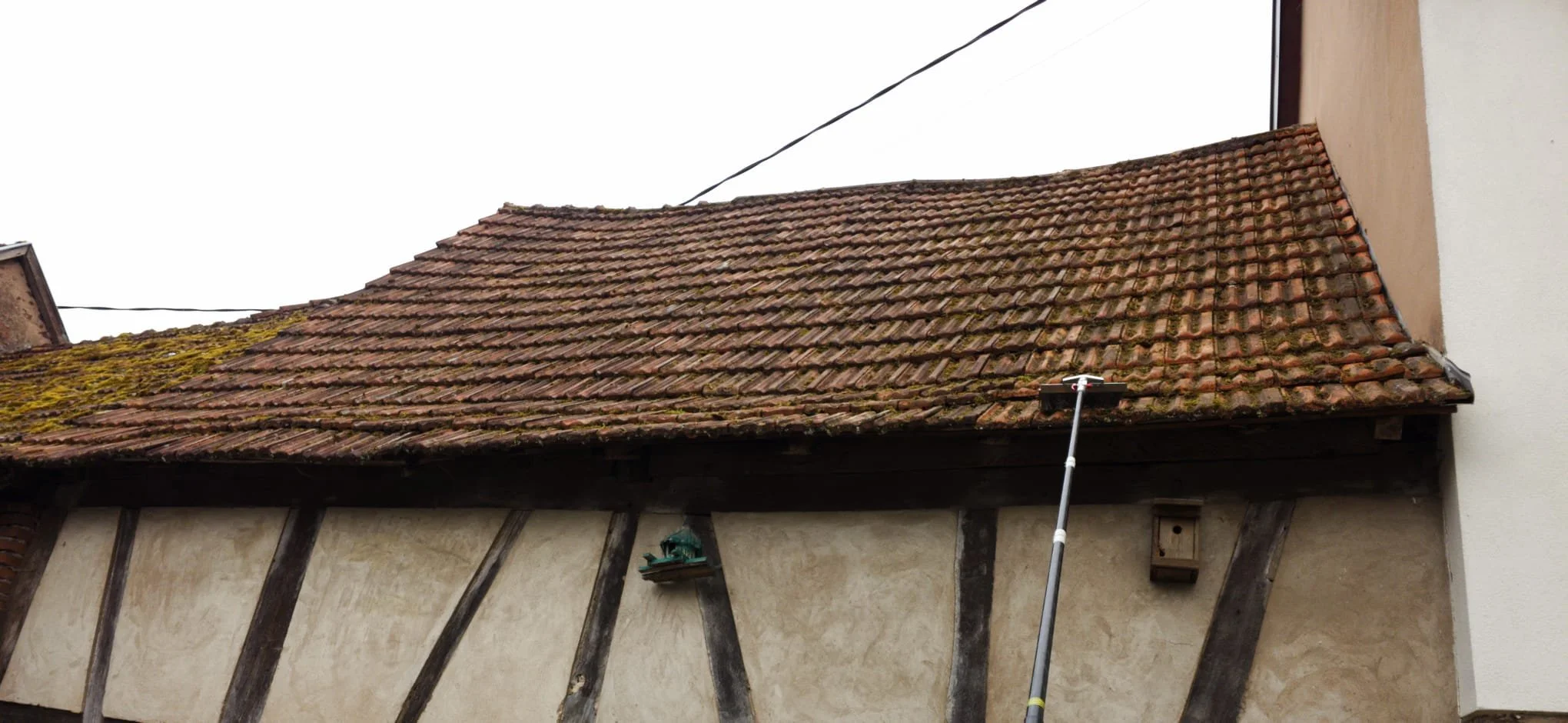 Nettoyage, démoussage de toiture par drone à Reichshoffen