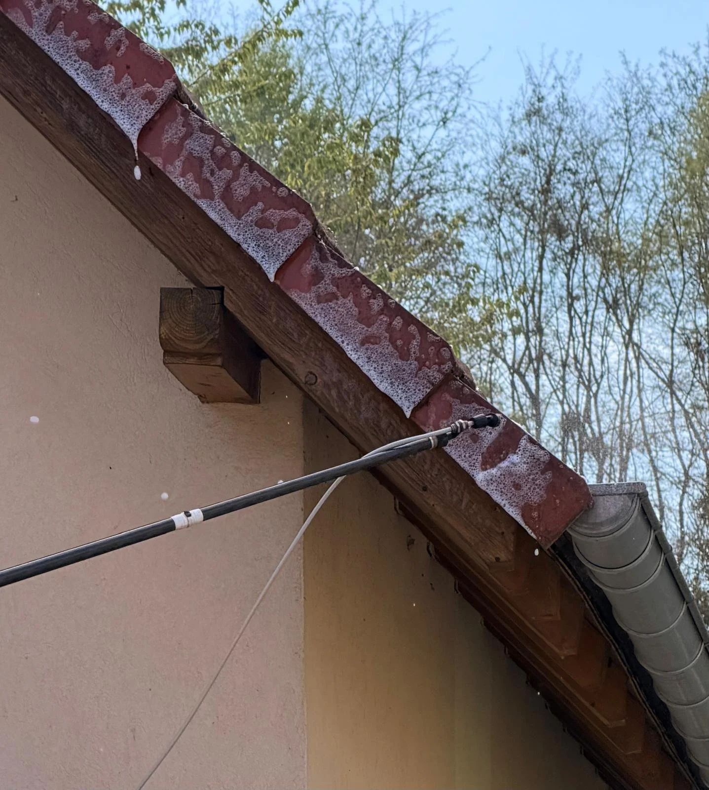 WhatsApp Image 2026-04-22 at 15.26.30 (1).jpeg