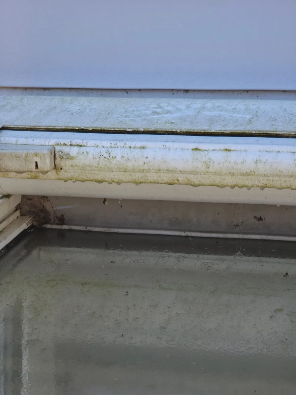 WhatsApp Image 2026-04-21 at 17.02.41 (4).jpeg