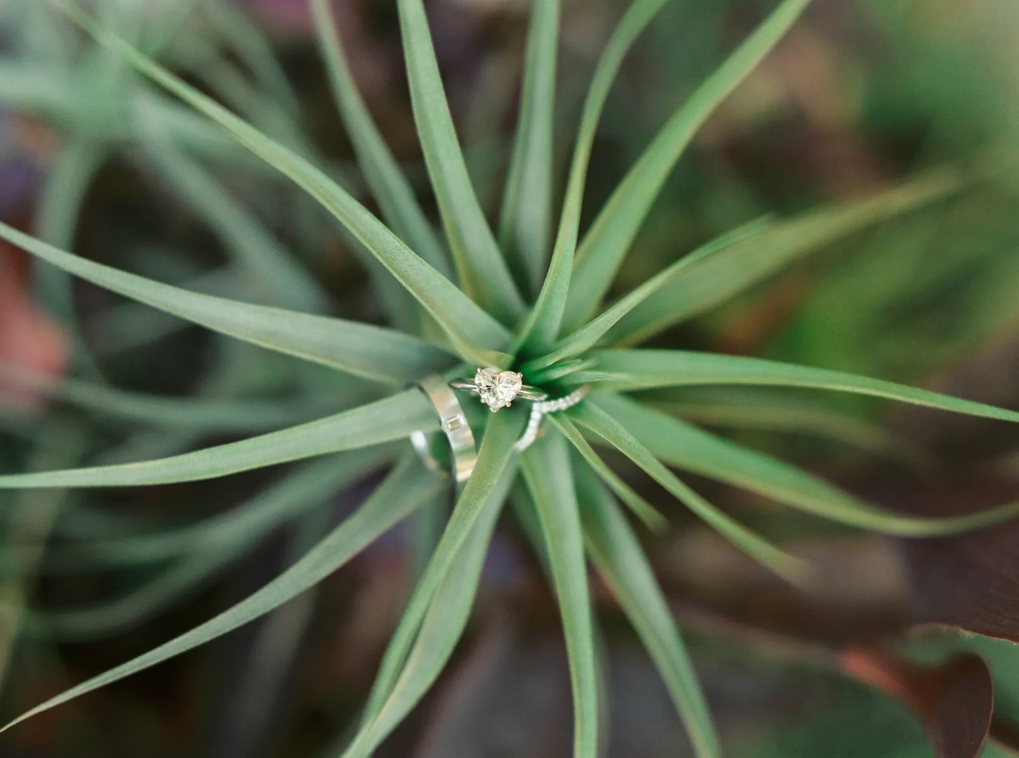 destination wedding detail shots of ring