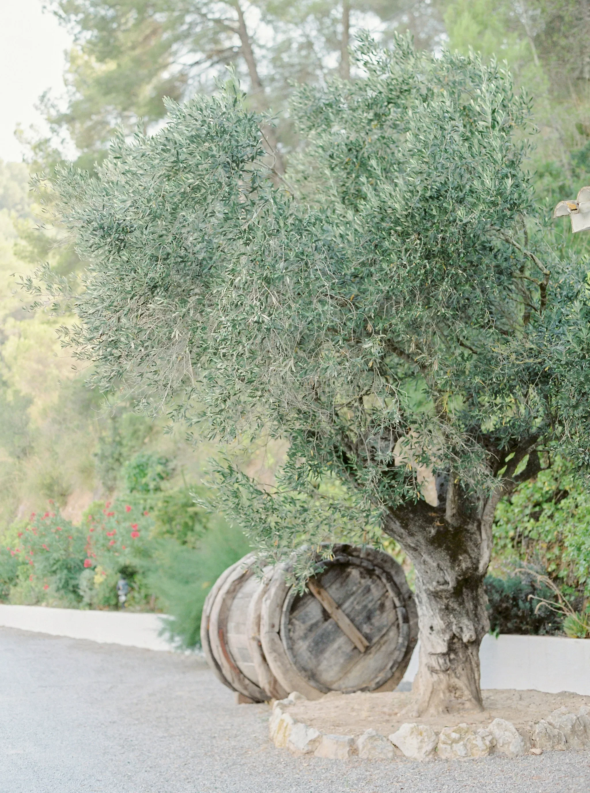 Modern minimalistic wedding celebration in Barcelona