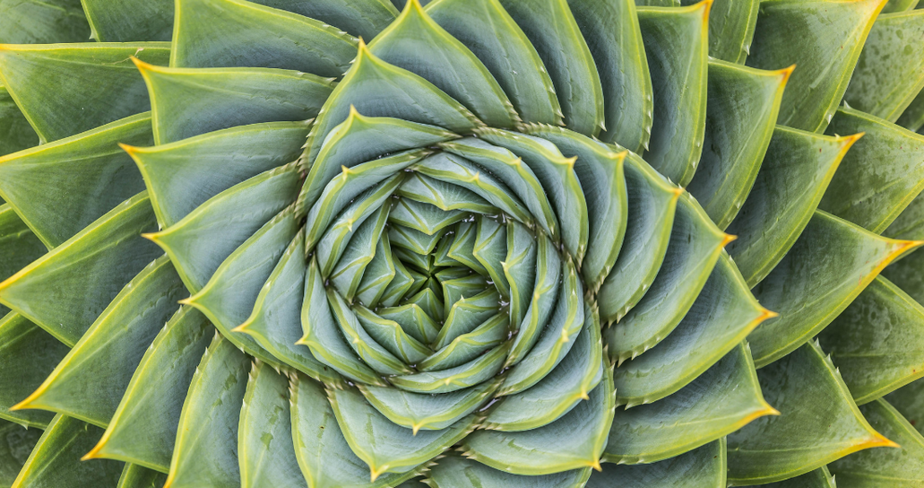 Driving Meaningful Growth: Rethinking Where Business Value Comes From