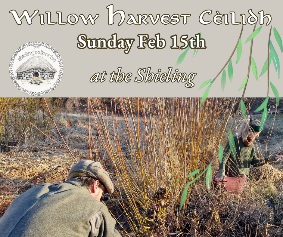 Willow Harvest Cèilidh