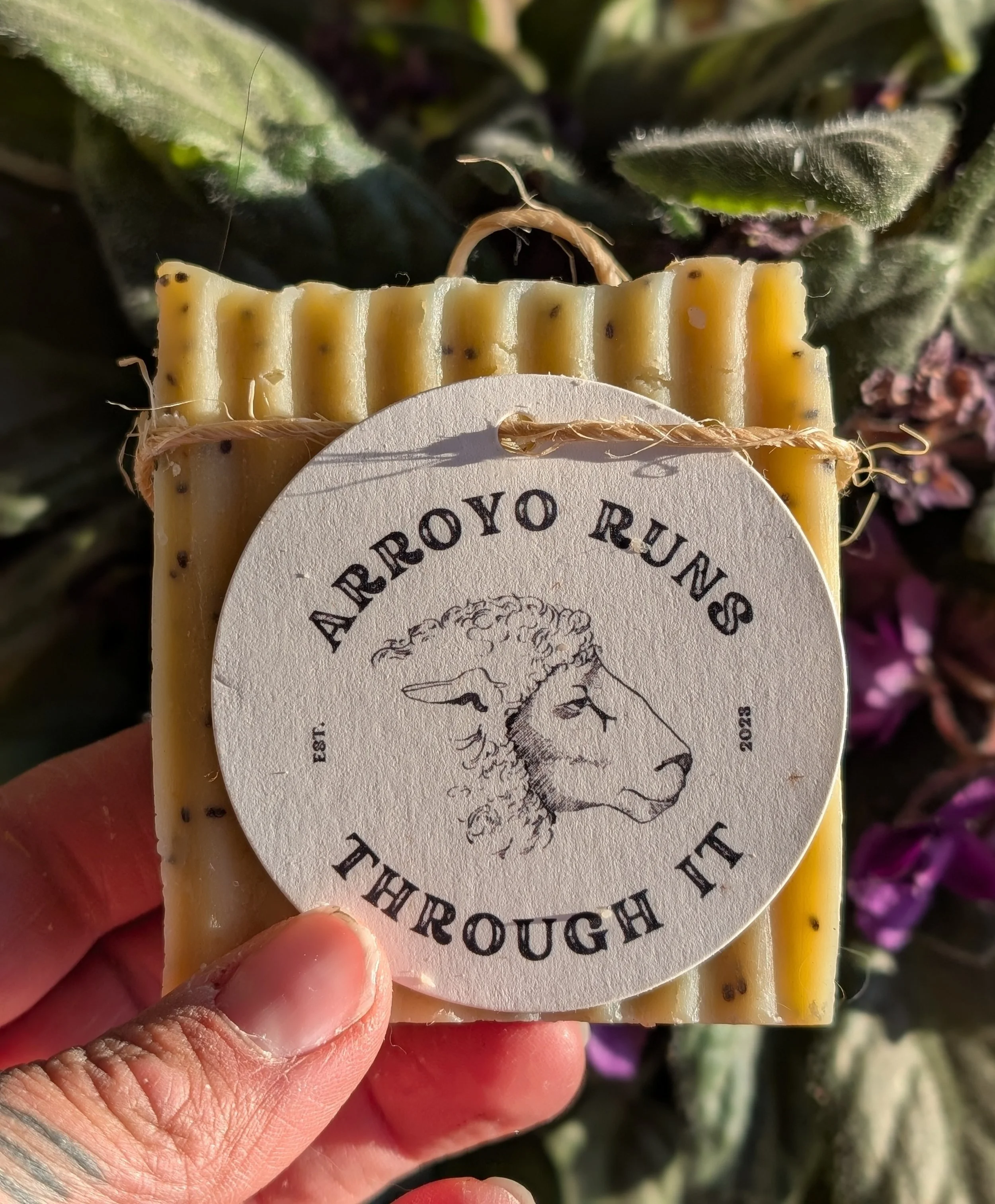 Cedarwood & Chia Sheep Milk Soap
